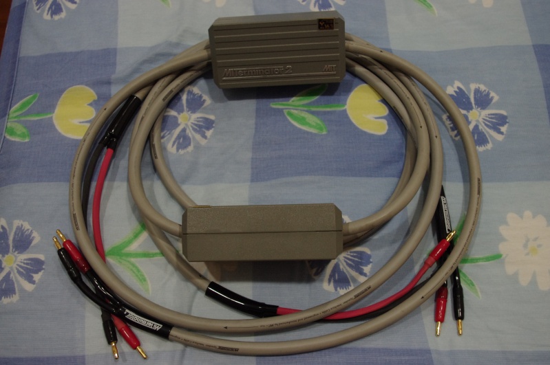 Fs - Mit Flagship Speaker Cable Imgp0811