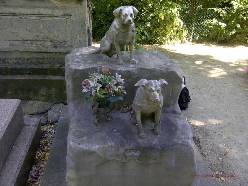 Le cimetière des chiens d'asnières Img-2014