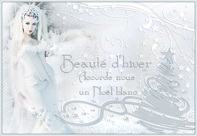 Galerie Concours Beauté Hiver  Josie10
