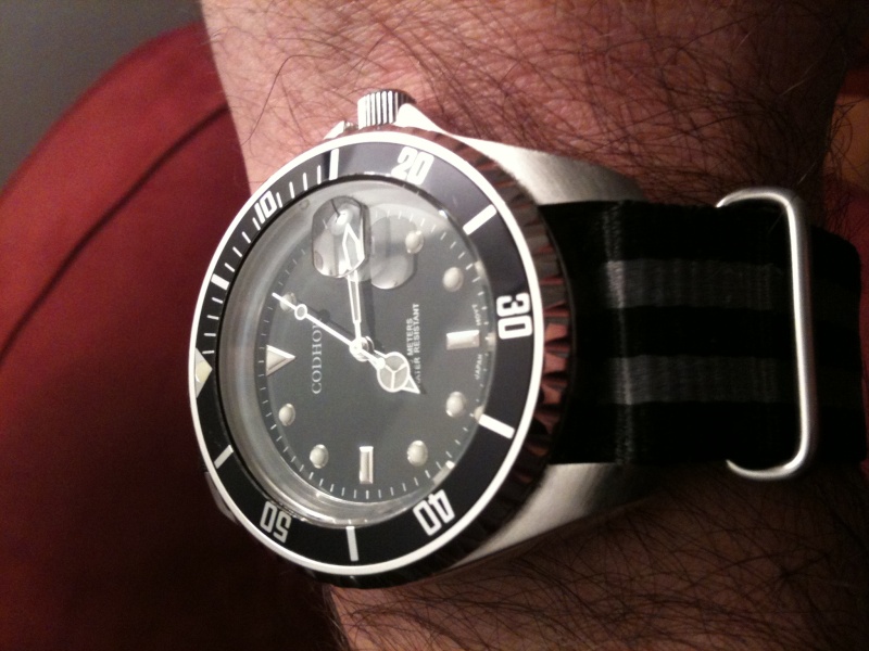 vostok - Seiko Diver's 200 SKX009K vs Citizen Promaster Diver NY2300 - Page 2 Img_0312