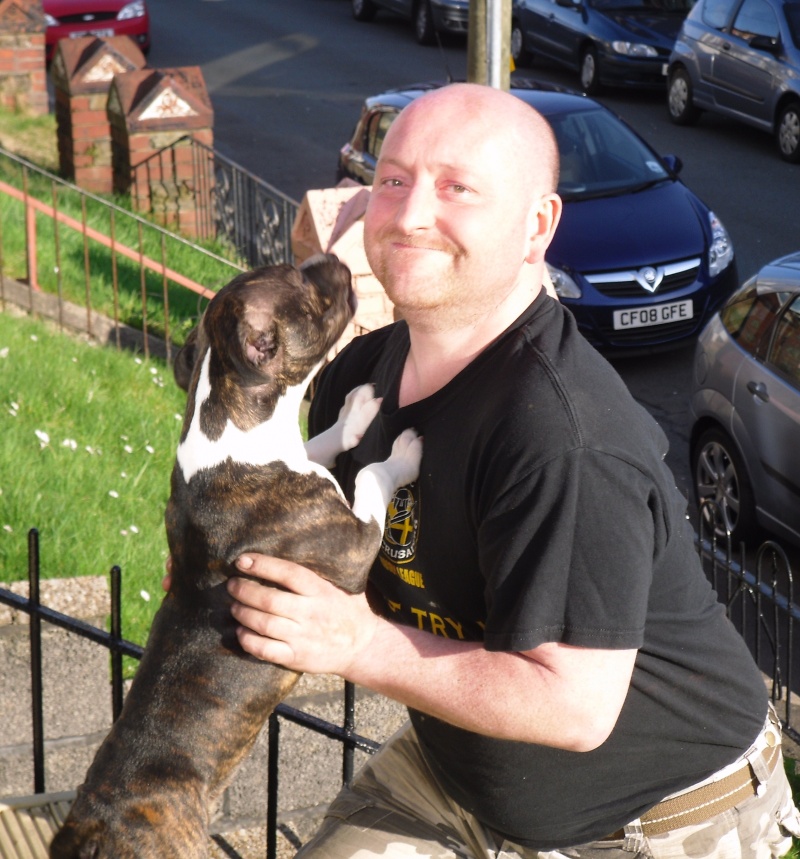 Wanted you and your staffy hugging 13710