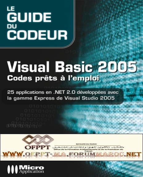 Livre : Visual Basic 2005 - Codes prêts à l'emploi Visual11