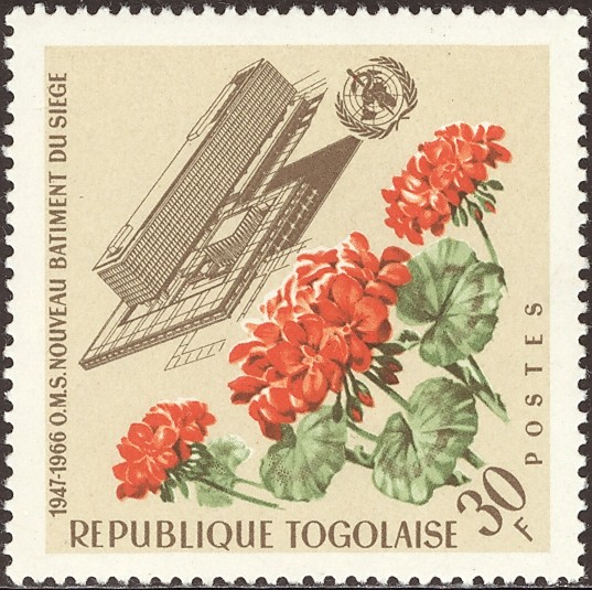 Pelargonium zonale 1966_t10