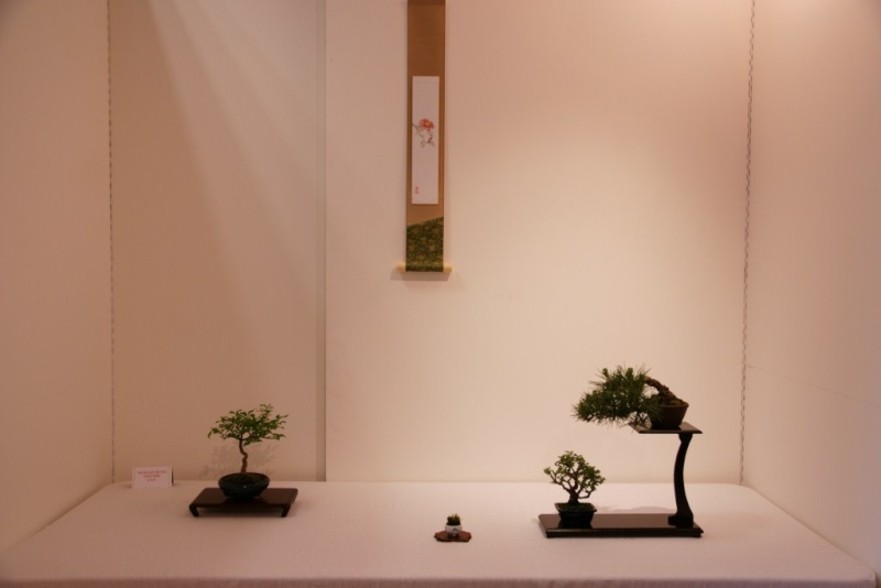 EXPO SHOHIN MAME 9 et 10 JUIN 2012 Dsc00129