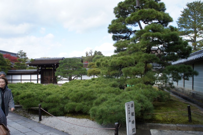 voyage au Japon 2011:  palais impérial NINNA-JI Dsc01215
