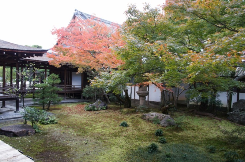 voyage au Japon 2011:  palais impérial NINNA-JI Dsc01339