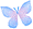 فراشة فراشة