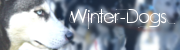 Buttons & Banner Winter11