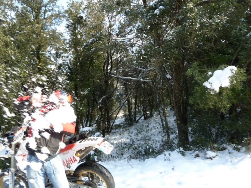 Le concours Février 2012: "Votre moto aux sports d'hiver." - Page 11 P1000448