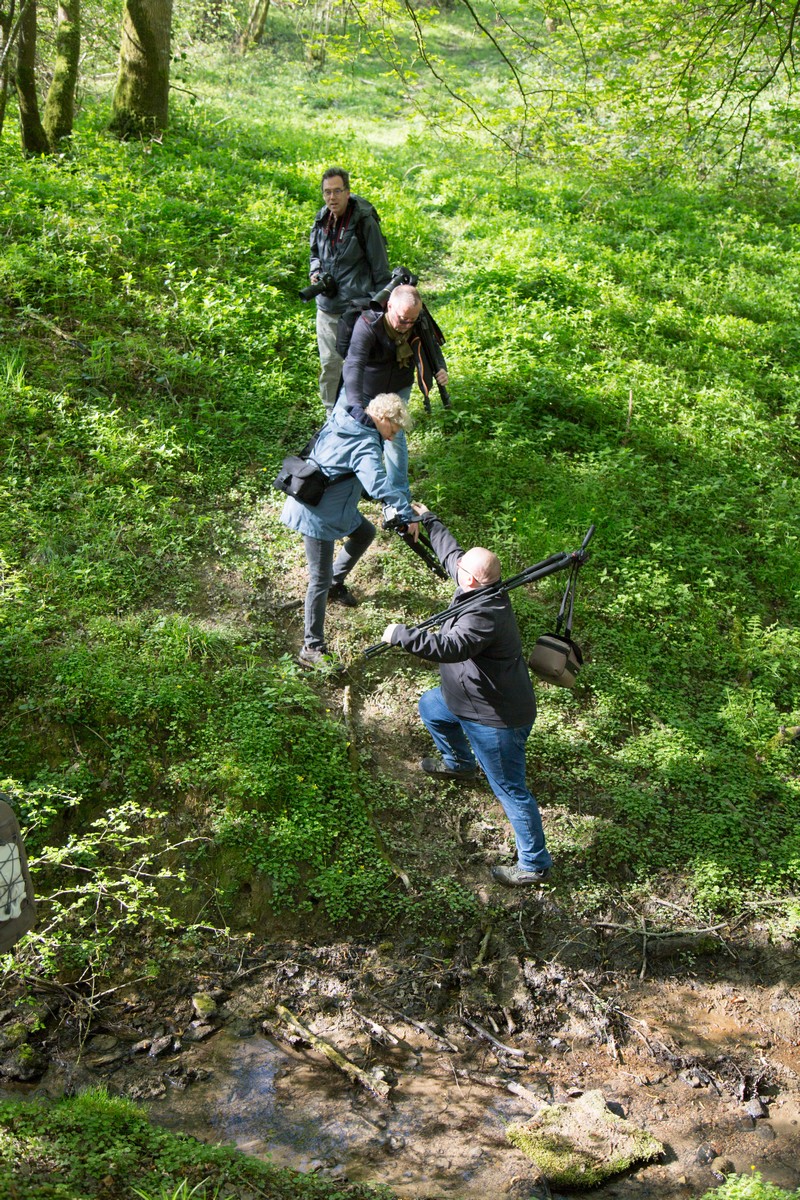 Promenons-nous dans les bois (sortie du 20/04) 7o0a1526