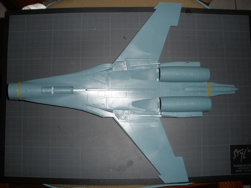 Revue de kit eduard Su-27 Flanker B 1/48 ref-1167   P5090116
