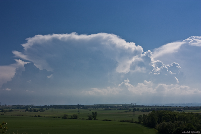 Chasse du 26 mai dans l'Allier/Cher Img_1910