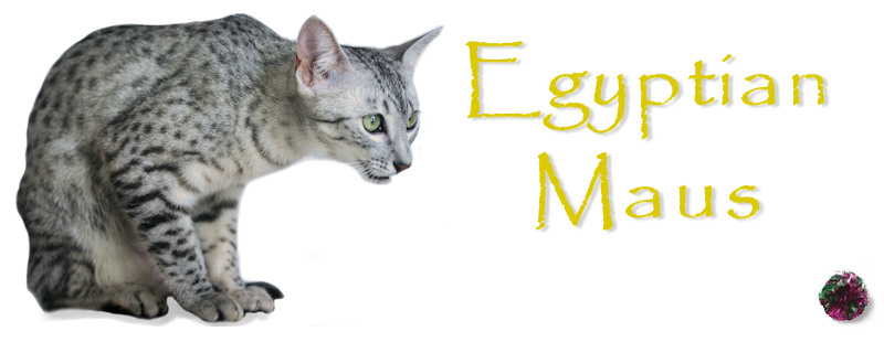Egyptian Maus