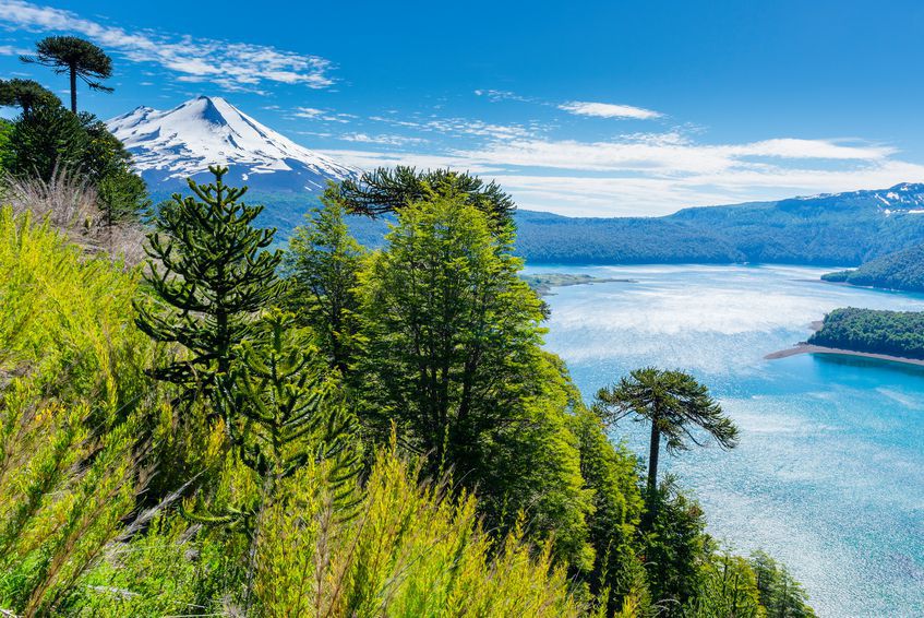 Le parc national Curacautin au Chili !! Istock10