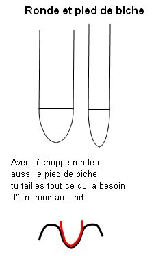 échoppes , onglettes??? Rondes11