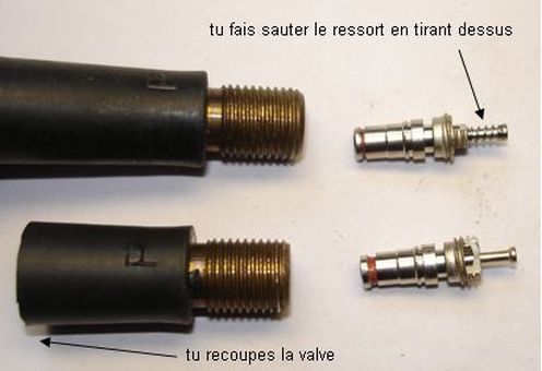 Crapaud en bois ? Pourquoi pas ! Valve110