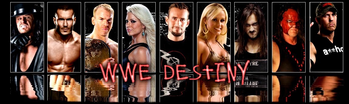 WWE Destiny New__10
