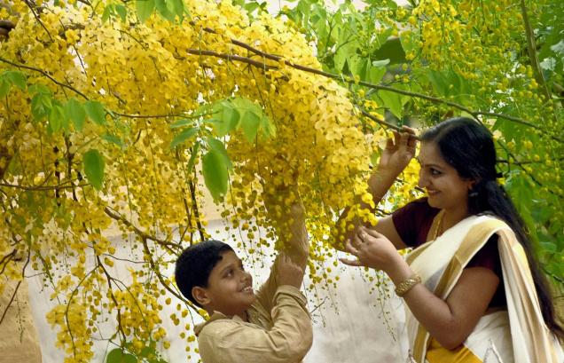 Vishu Aashamsakal ~~~~  Vishu_10