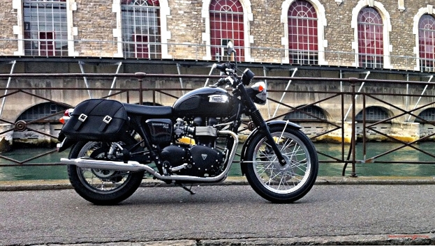 My black Bonnie in th blue sky Bonnie11