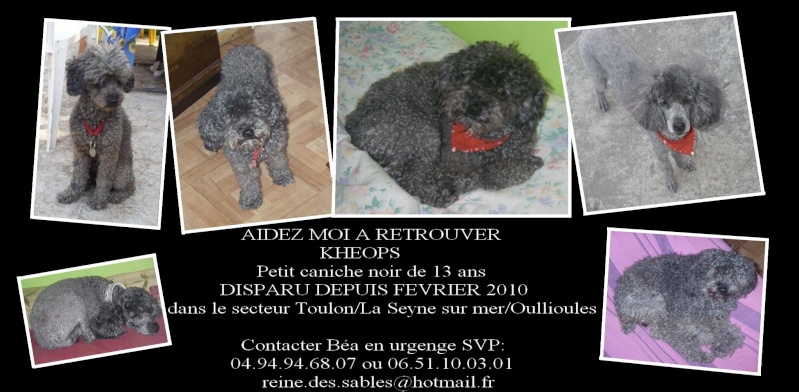 DCD    AVIS DE RECHERCHE 22039_18