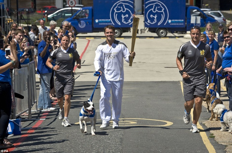 Staffy helps carry the Olympic torch Mo910