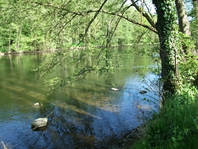 La Sioule en Auvergne Image_22