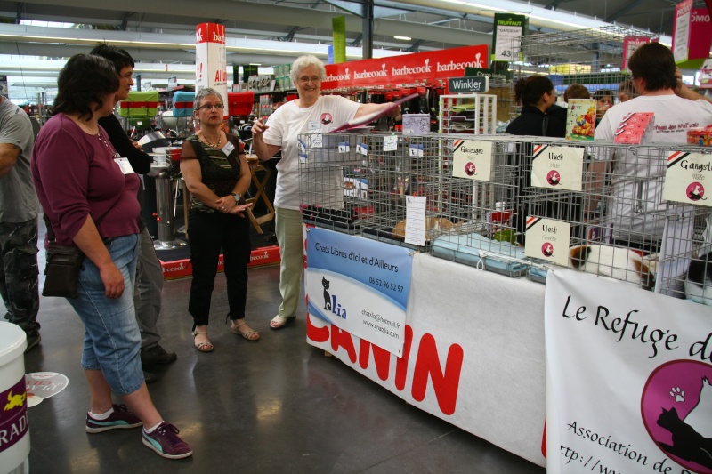 WE adoptions les 26, 27 et 28 mai 2012 -Truffaut Colomiers Img_0011