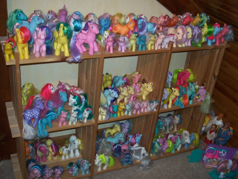 voici ma collection de poneys G 1 100_8711