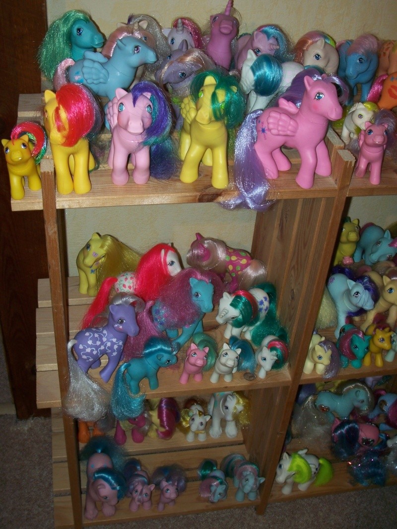 voici ma collection de poneys G 1 100_8713