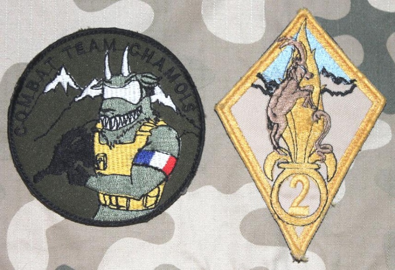 French Patches from SGTIAs - GTIAs/BATTLEGROUPS in Afghanistan - Page 4 Img_4110