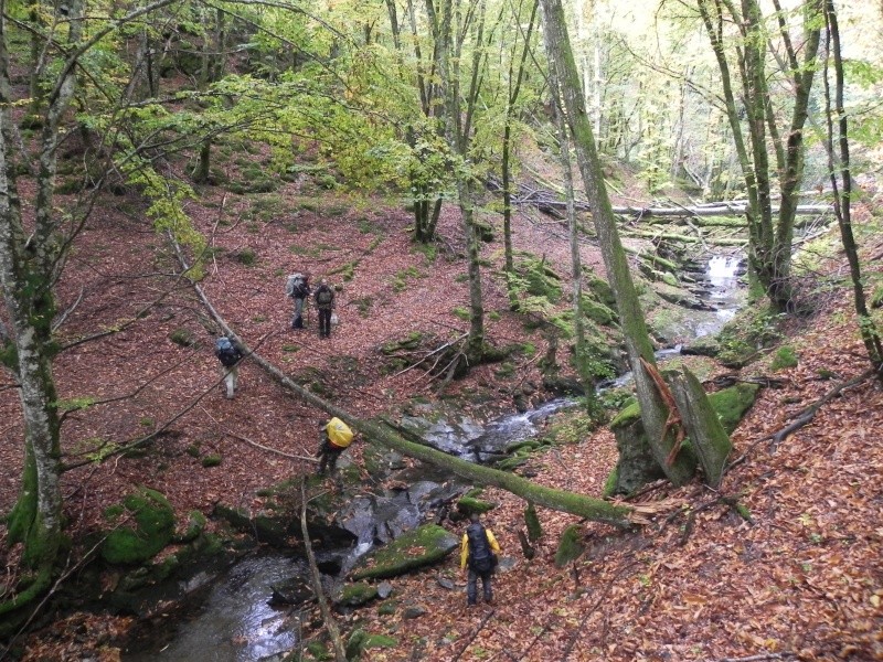 CR Stage "bases de la survie de l'ENS Photo_12