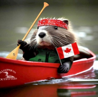 Happy Canada Day Beaver10