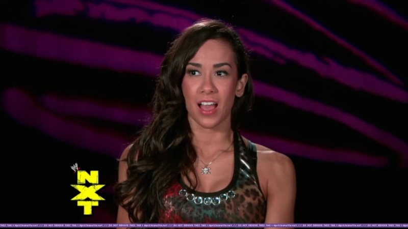 AJ Lee Promo #2 Aj_lee19