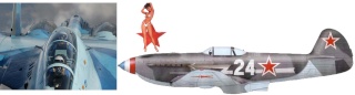 [Eduard] Mirage 2000C , 1/48e  Russe_61