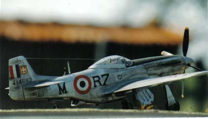 P-51D (F-51) Hasegawa Sans_t20