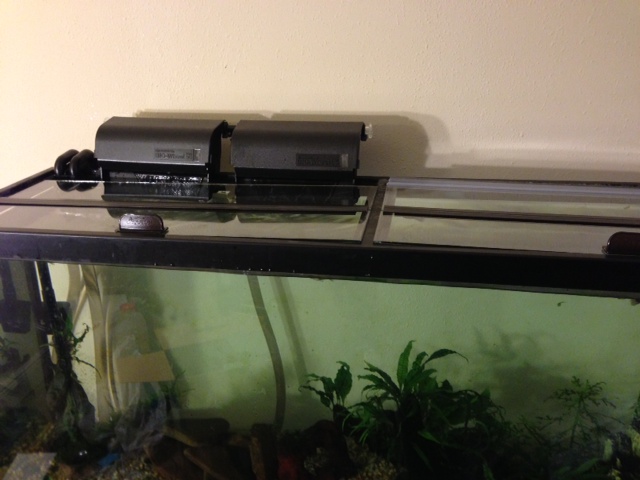 My 55 Gallon High Tech - Tons of Pictures! 1910