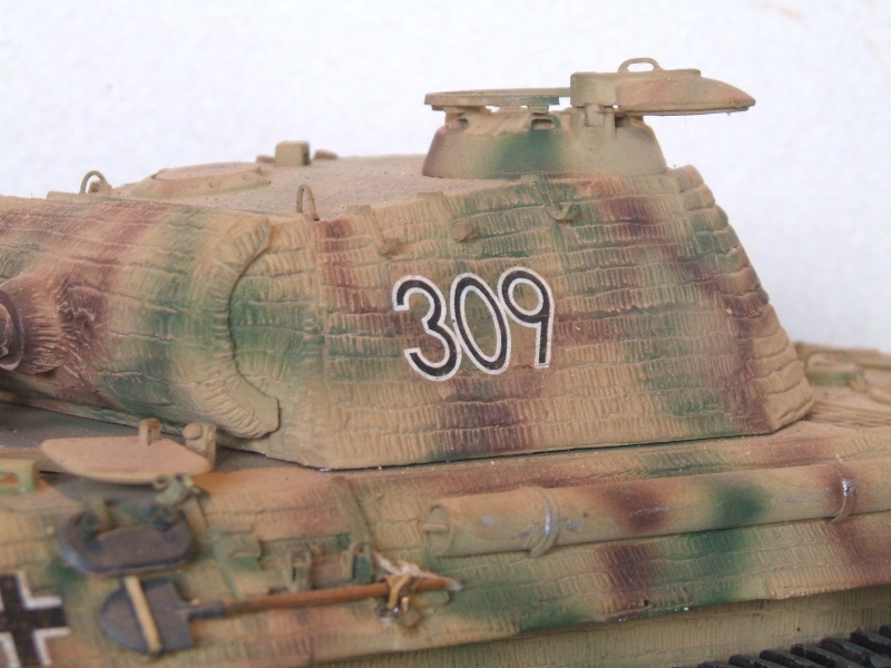 Sd.Kfz. 171 - Pz.Kpfw. V Ausf A Panther [TAMIYA 35065 1/35°] Dscf6492