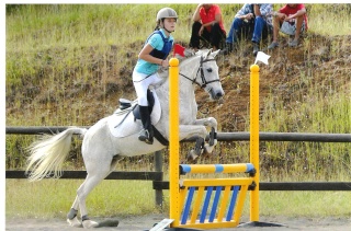 Okapi, Naladin et Imprévu des chevaux de concours révés...♥ Concou10