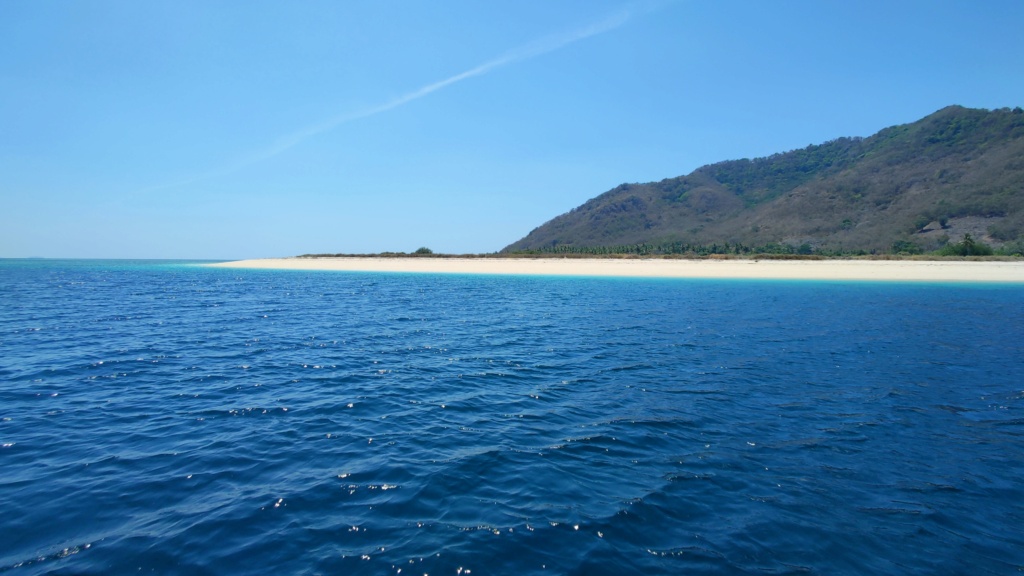 Projet Flores et une petite croisière à Komodo et retour de voyage - Page 2 Img20212