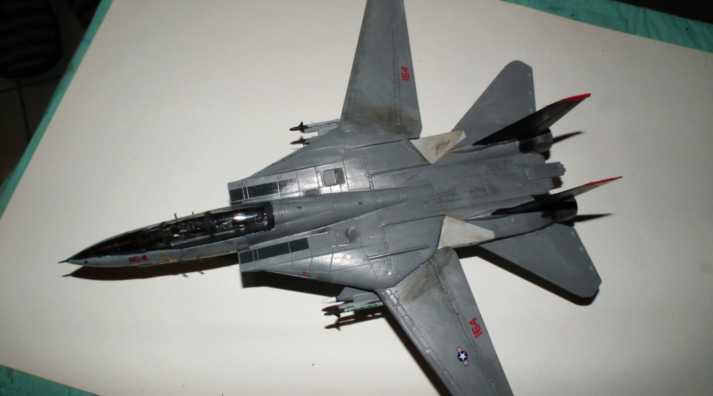 [revell] grumman F14D super tomcat  - Page 2 Dscf3964