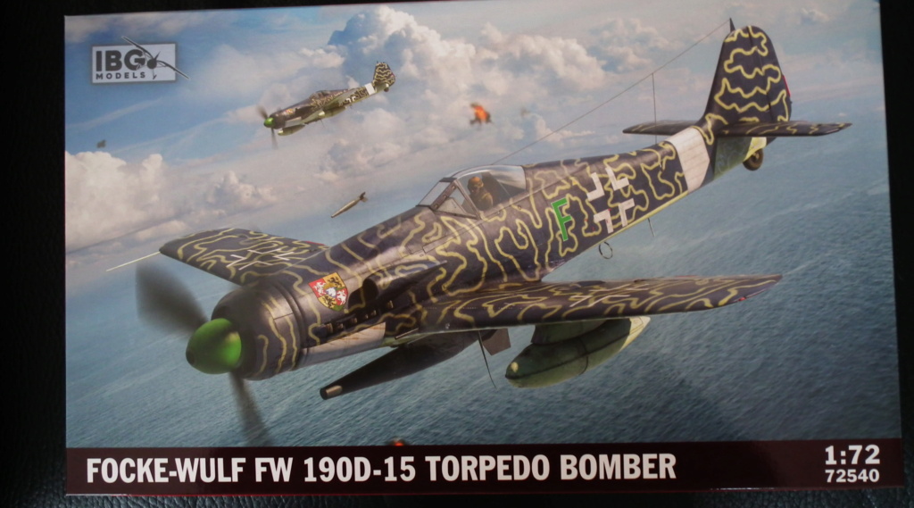 [IBG] focke wulf 190D-15 torpedo bomber  Dscf5344