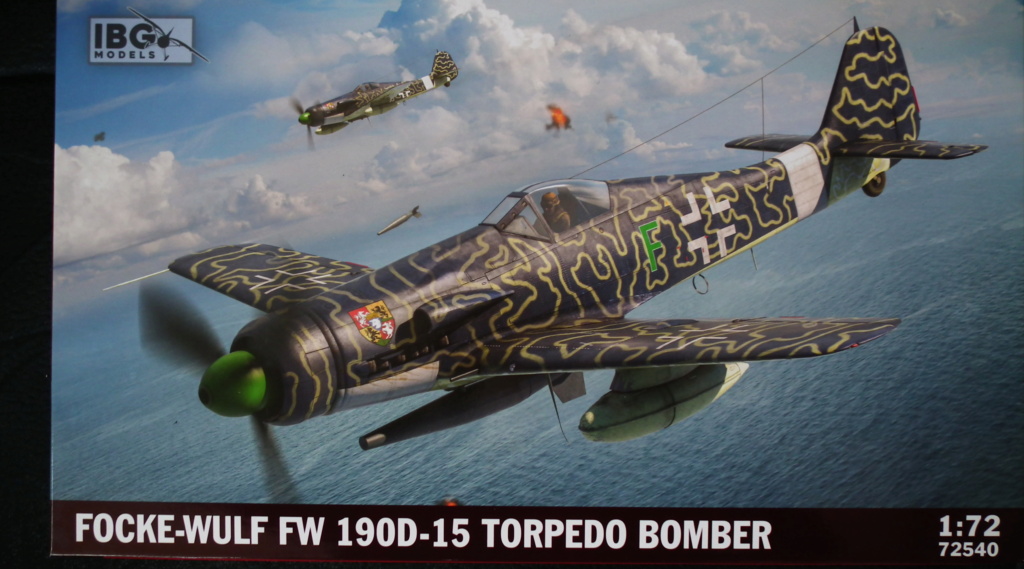 [IBG] focke wulf 190D-15 torpedo bomber Dscf5539