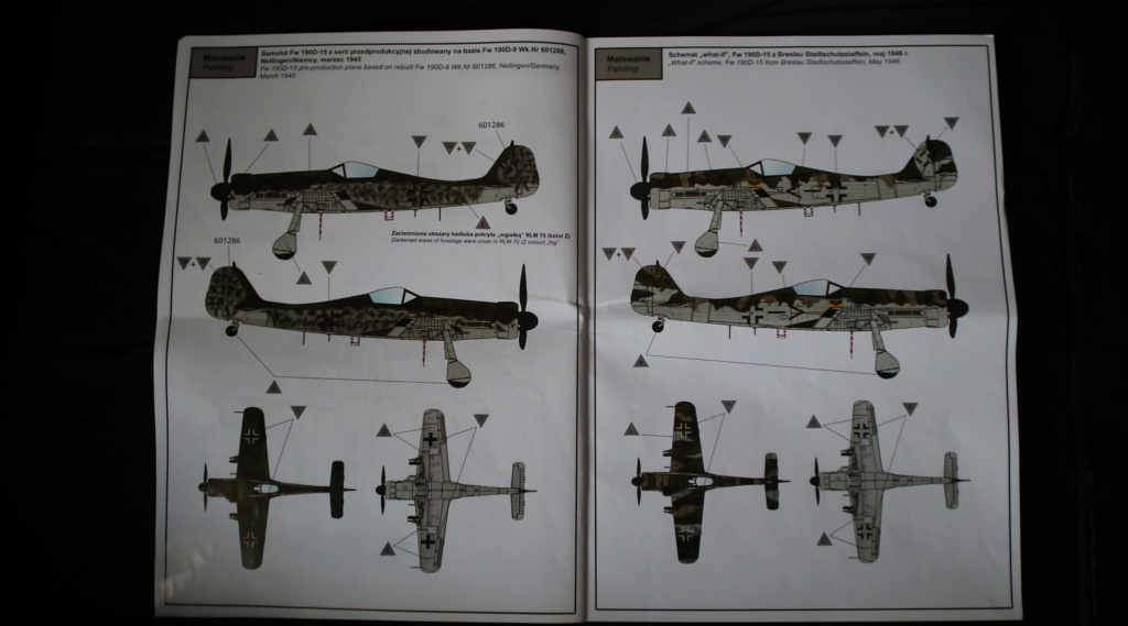 [IBG] focke wulf 190D-15 torpedo bomber Dscf5546