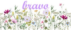 La nappe aux fleurs blanches du Bonheur des Dames - Page 2 Bravo_59