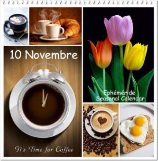 jeudi 10 Novembre 31436410