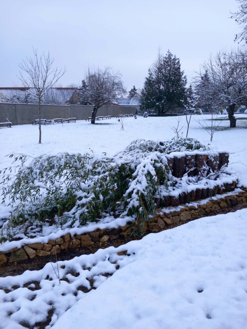 De Dimanche à Dimanche en 2023 825