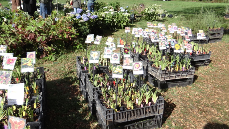 Ma Première Fête des Plantes à Saint Jean de Beauregard (91) Dsc03015