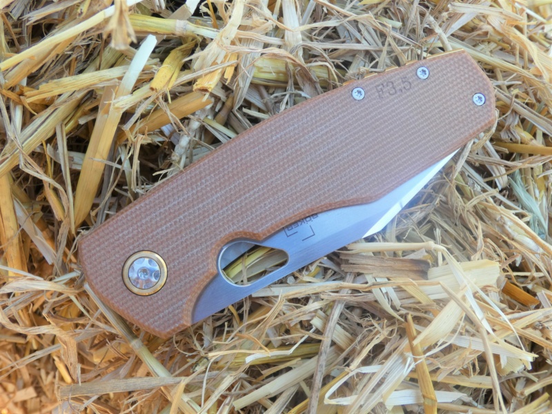 BOKER + - Page 5 P1010517