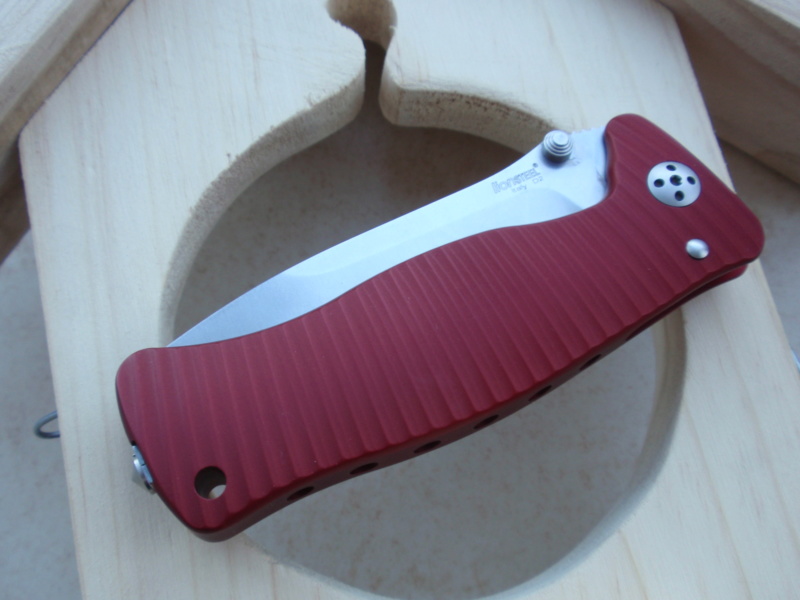 Lionsteel - Page 4 P1195528