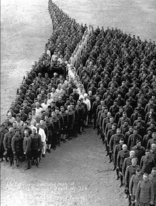 Cheval de guerre Sans_t30